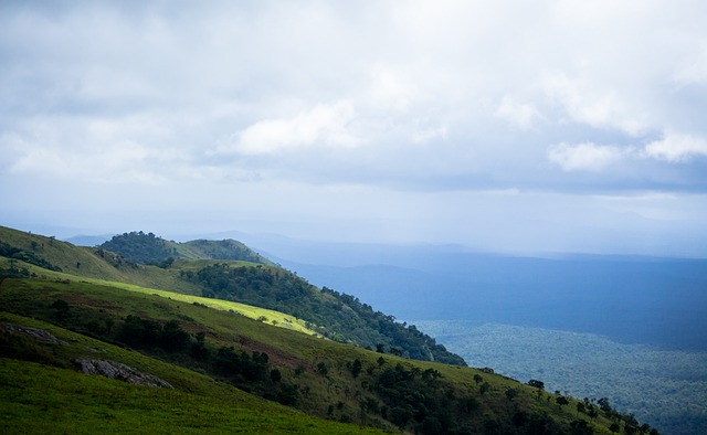 全明星表现 全明星表现