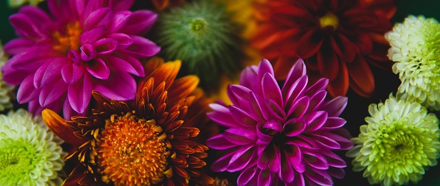 另一个引人 另一个引人