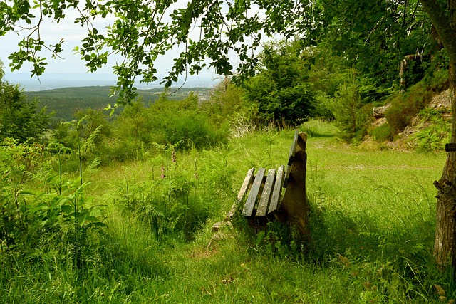 亚冬会｜哈尔滨亚冬会中国香港代表团参赛人数创历史之最.