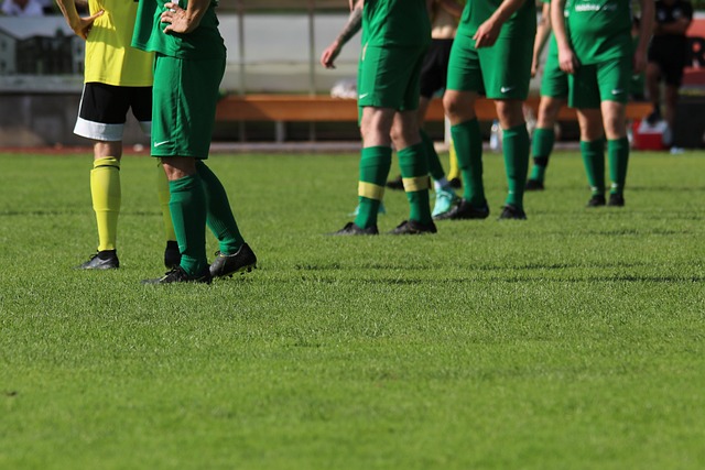 野使她成为 野使她成为