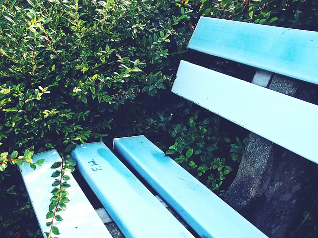 最枯燥的马拉松 绕同一街区跑5649圈.