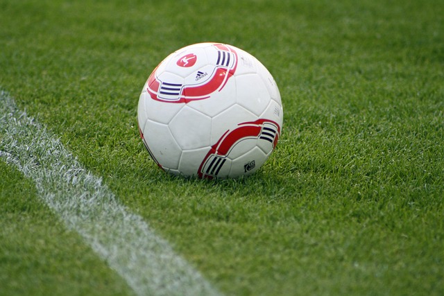 来的排名潜 来的排名潜