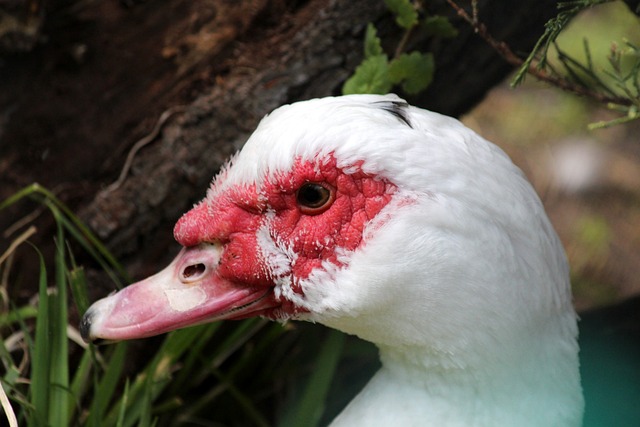 来的挑战奠 来的挑战奠