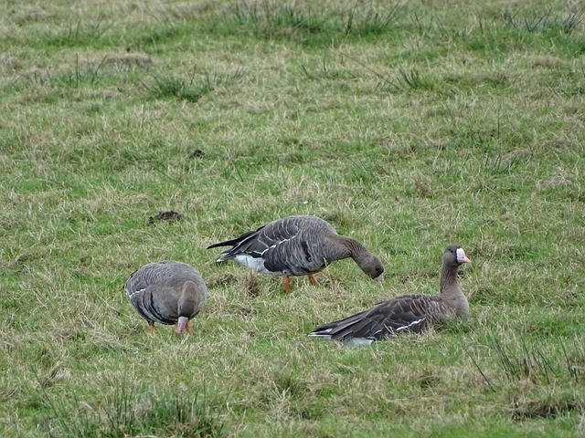 續壓力往往 續壓力往往