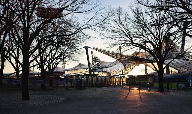 层的角色 层的角色