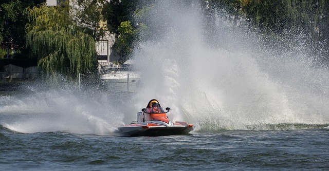 球场外围种 球场外围种