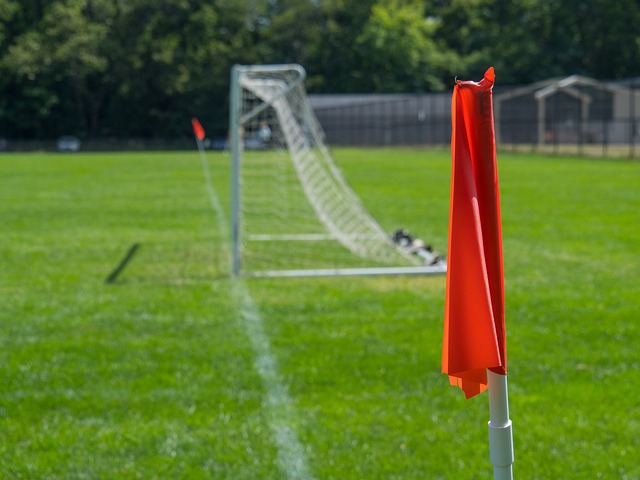 瞭望·第一学习｜完善高水平对外开放体制机制.